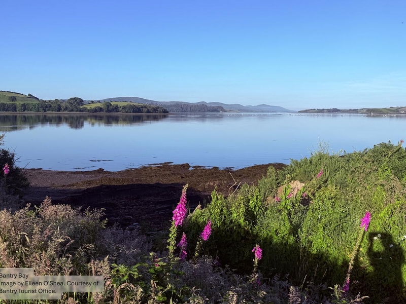 Bantry Bay, Bantry, Co Cork